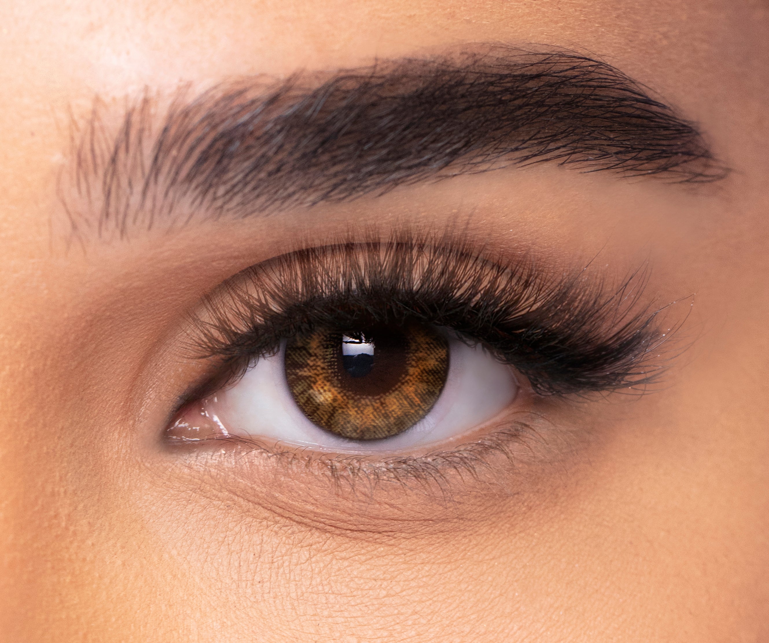 FRESHLOOK™ ONE-DAY COLOR