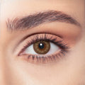 Almond Brown Daily