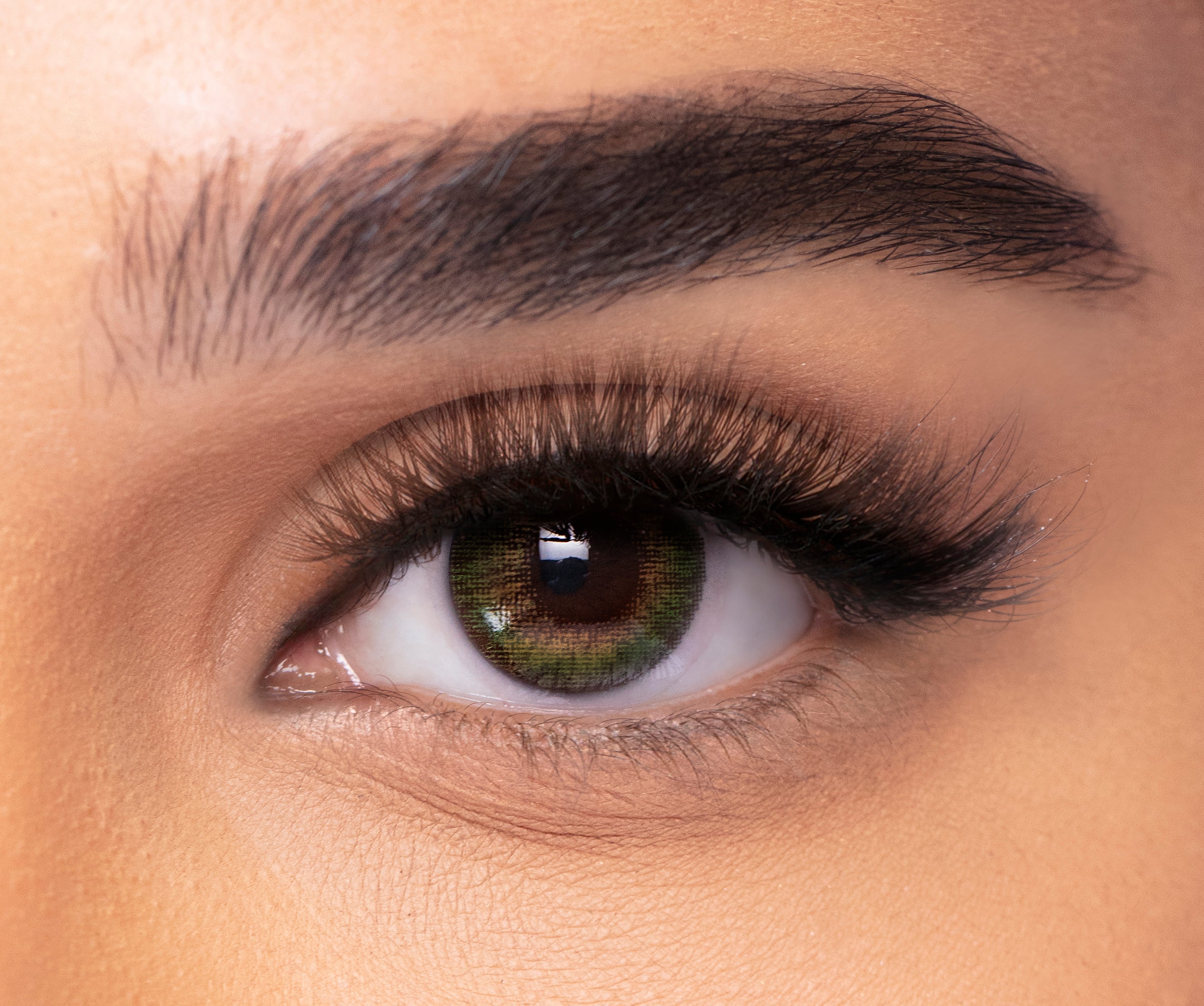 FRESHLOOK™ ONE-DAY COLOR
